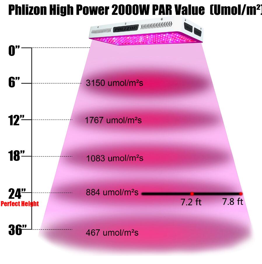 Full Spectrum LED Light Plants Growing 