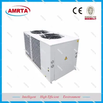 Mini Air Source Heat Pump AC System