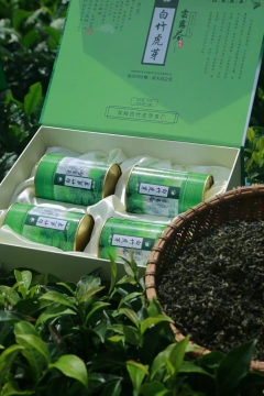 Premium Green Tea for Daily Wellness and Refreshment
