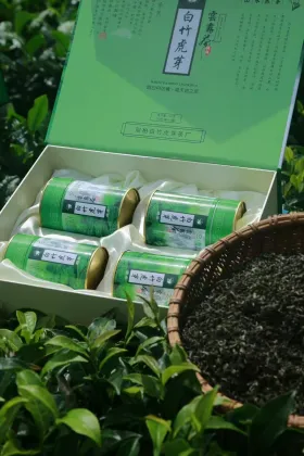 Refreshing green tea