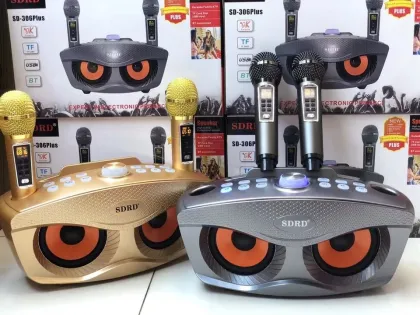SD 306plus 20W Portable Karaoke Wireless Speaker with High-Power Variable Voice Microphone