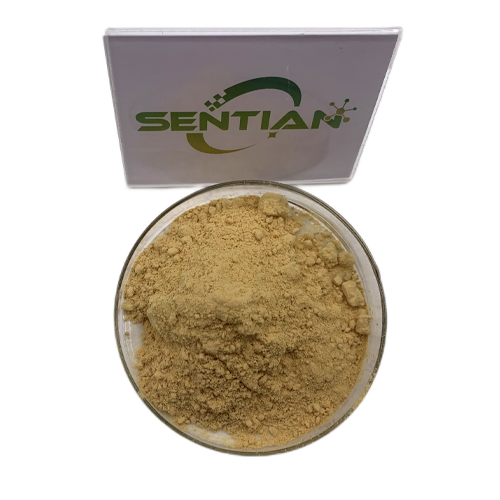 High-Purity Baicalein Extract from Scutellaria baicalensis
