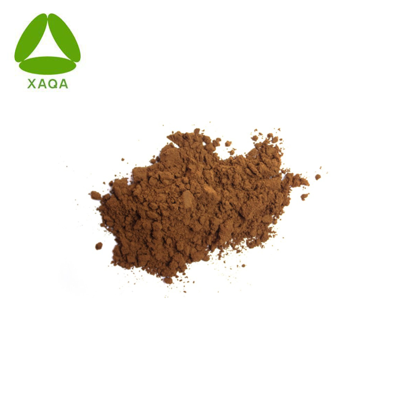 ISO9001 مشروب الشاي النباتي yerbal mate extract مسحوق