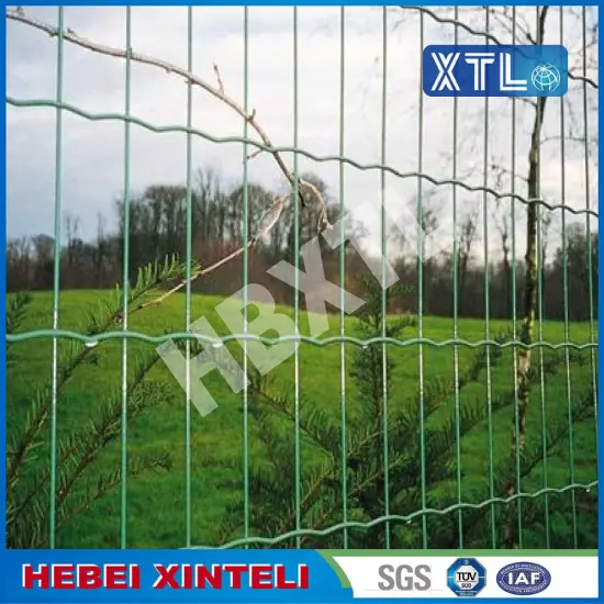 PVC Coated Metal Holland Wire Mesh