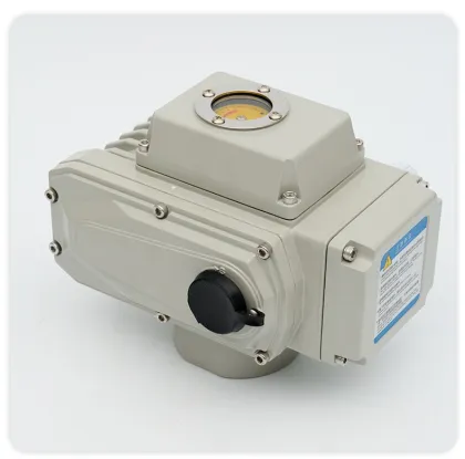 Electric actuator valve electric installation
