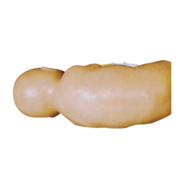 Newborn Waist Puncture Manikin SC-CK34001 - Medical Model Clinical Teaching Tool