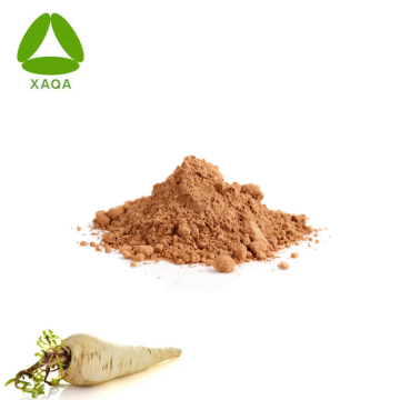European Butterbur Extract Parsnip Root Extract Powder 10:1