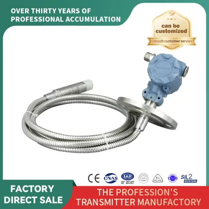 Level Transmitter: Flange Hose Type Input Level Gauge