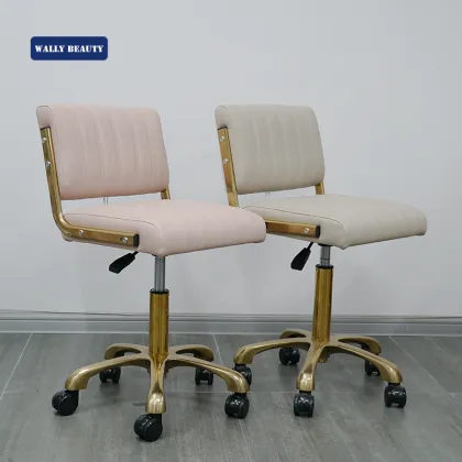 Hot Sale Beauty Salon Stool Hydraulic Salon Master Chair