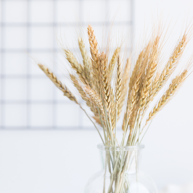 20 Stems Natural Dried Flowers Decorative Flowers Wheat Ear Bouquet Dried Branches Wedding Decoration Flower Wreath DIY