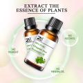 OEM service oregano essential oil,organic wild oregano oil,oil of oregano