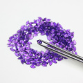 /msite/products/detail/productid/63447327/id/1522398.html