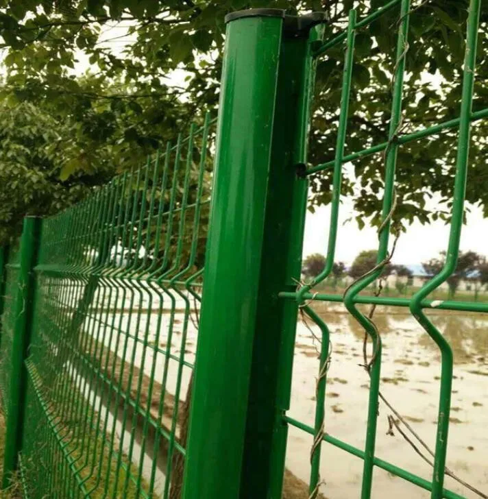 Fense de jeux de jardin en mailles soudées courbes en revêtement en poudre Courbe en poudre