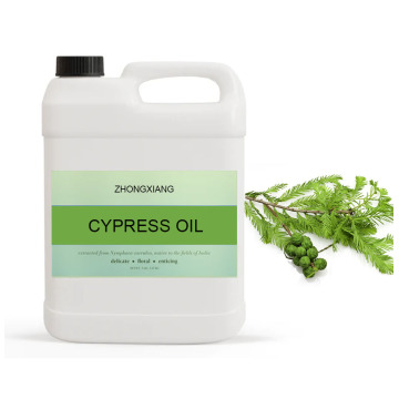 Aceite de ciprés de ciprés 100% puro aceite natural ciprés a precios al por mayor mayorista de aceite esencial de ciprés natural