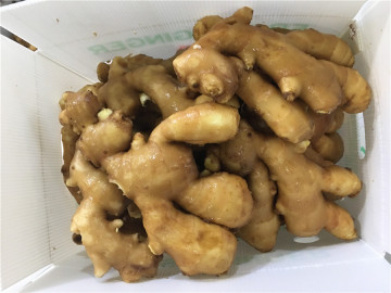 250g fresh ginger to middle east countries