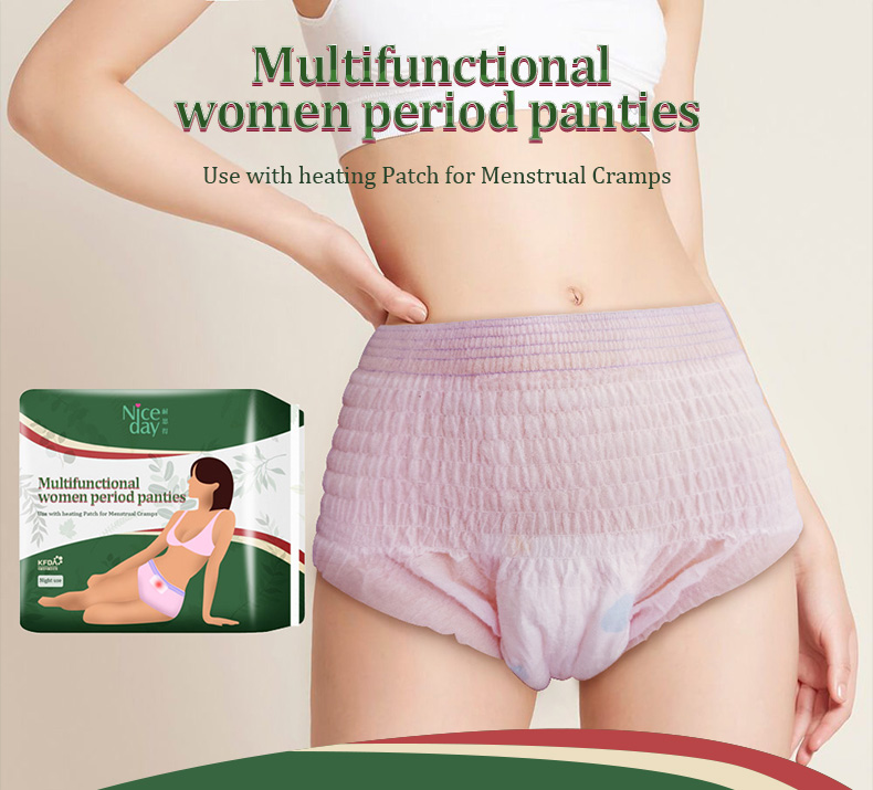 disposable Period Underwear