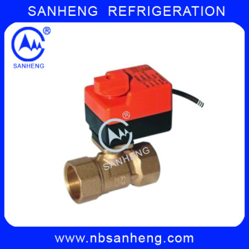Ball Valve With Electric Actuator