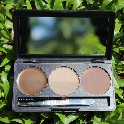 Professional Eyebrow Makeup Kit: Eyebrow Powder, Pencil, Stick, and Brush Set