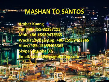 Shantou Mashan Sea Freight to Brazil Santos