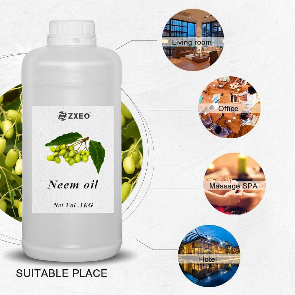 Aceite esencial de neem de alta calidad Aceite de neem prensado en frío con embalaje personalizado para uso cosmético