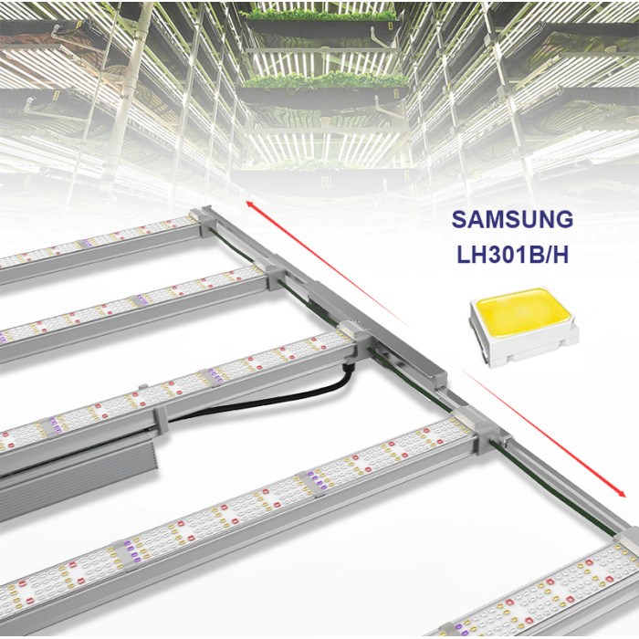 Pianta a spettro completo di coltivazione a LED da 730W