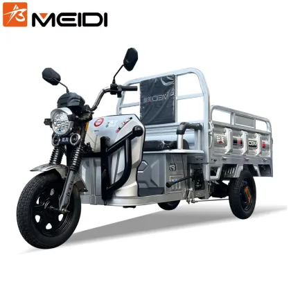 Meidi Wholesale Price Trike Electric Tricycle for Cargo