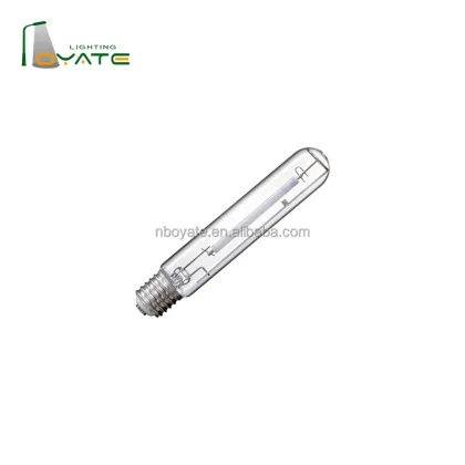 2000W High Pressure Sodium Lamps for Street Lighting: Traditional Sodium Bulbs in Tubular Oval Mode with Clear Glass