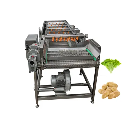 Fruit and Vegetable Cleaning Machine