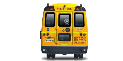 Dongfeng Mini Bus and School Bus Wholesale Sale