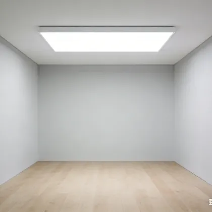 Ceiling-mounted LED ambient light