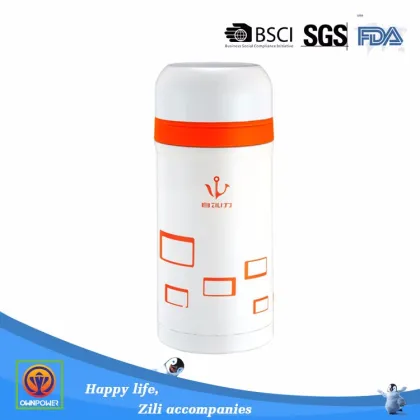thermo insulated lunch thermos containers for sale