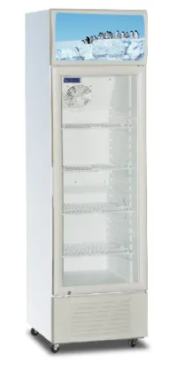 Forced-Air Cooled Upright Refrigerator LG-250