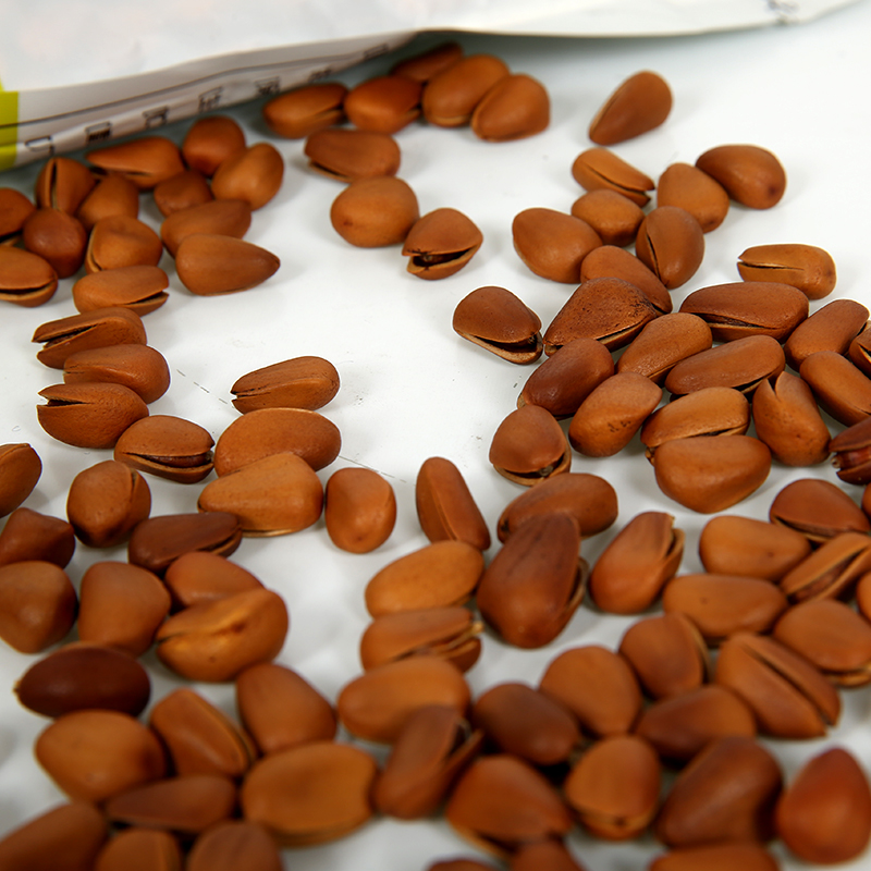 pine nut kernels