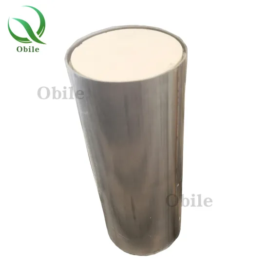 China Catalytic Converter 200 Cell Metallic EURO 5