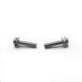 Pan Head Screw with washers