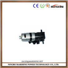 DC mini high pressure gear water pump