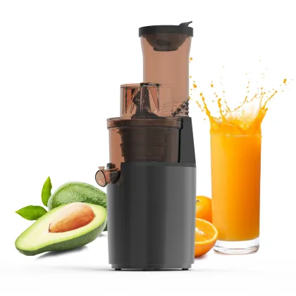 Orange and Pomegranate Cold Pressed Blender Juice Machine
