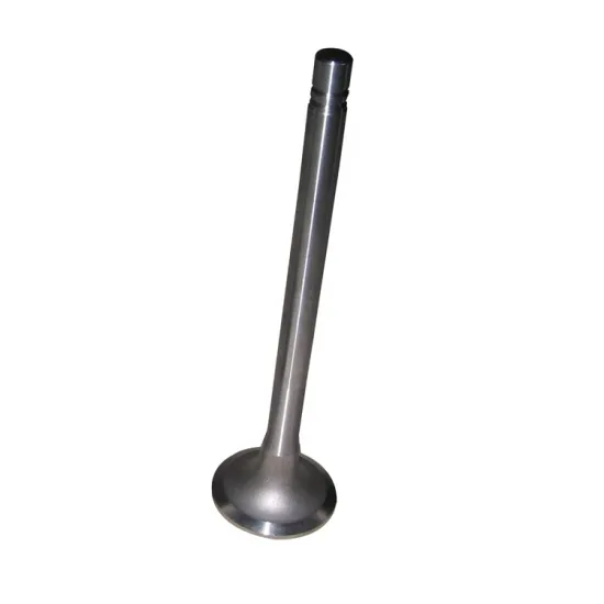 10BF11-07011 Intake Valve Replacement for Cummins Engine Model 3940734