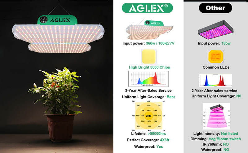 best led grow light