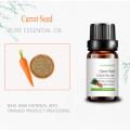 Organic Water Soluble Carrot Seed Oil For Skincare