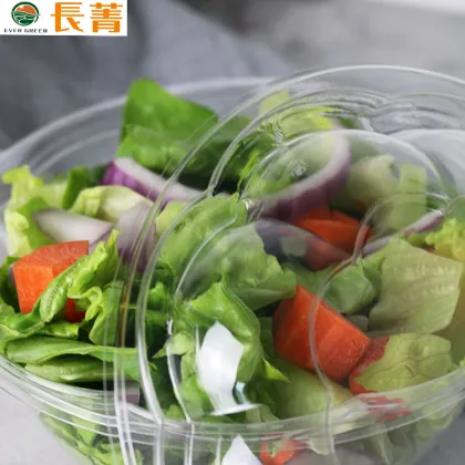 32oz Salad To-go Containers Clear Plastic Salad Bowls