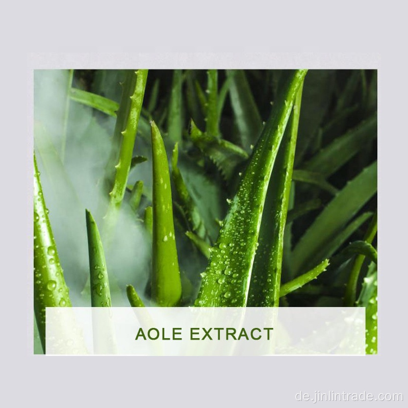 Aloe-Vera-Extrakt-Feuchtigkeitsblatt-Gesichtsmaske