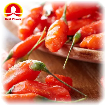 Red Power QIZITO fresh wolfberry wolfberry dryer wolfberry ningxia