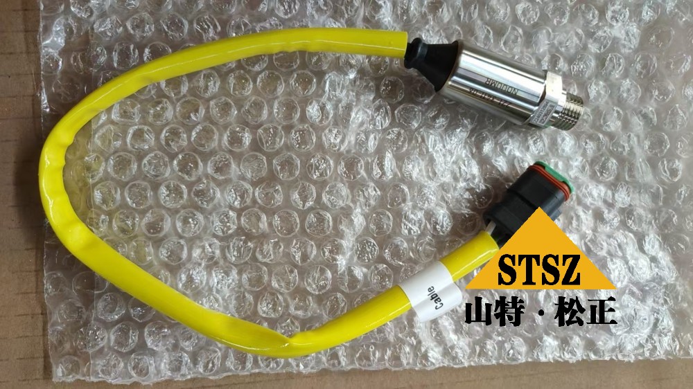 221-3411 R2900G SENSOR GP (3)