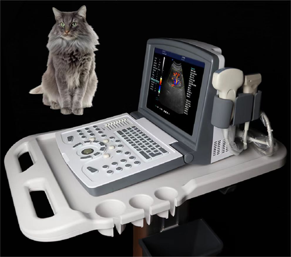 Machine ultrasonique doppler couleur portable pour animaux