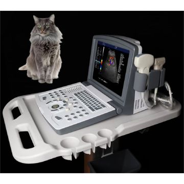 Tragbare Farbdoppler -Ultraschallmaschine für Tiere