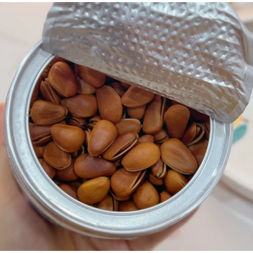 Deliciosos Pinhão da Física