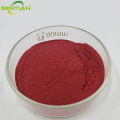 High-Quality Goji Berry Extract