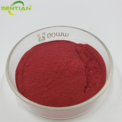 High-Quality Goji Berry Extract