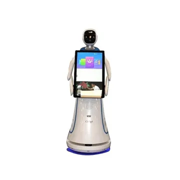 Humanoid Welcome Service Robot